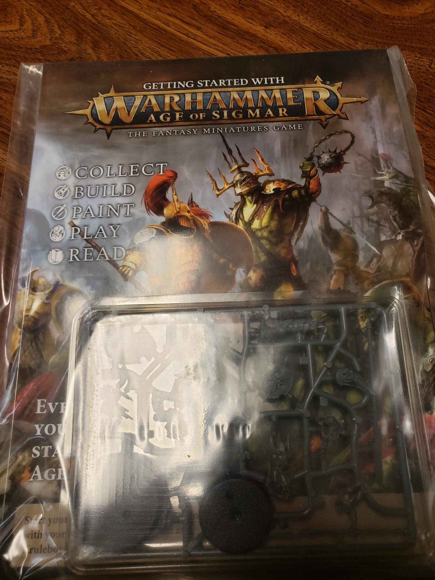 Warhammer Age Of Sigmar-Getting Started With (80-16)