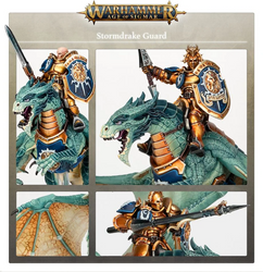 Warhammer Age of Sigmar StormDrake Guard (96-54)