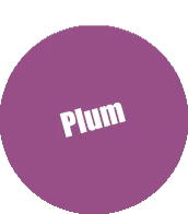 Pro Acryl - Plum