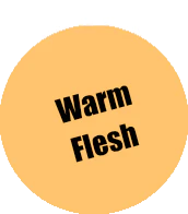 Pro Acryl - Warm Flesh