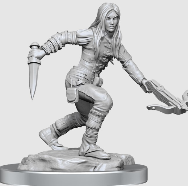 D&D Nolzur's Marvelous Minis Half Elf Rogue Female