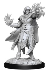 D&D Nolzur's Marvelous Minis - Hobgoblin Fighter Male and Female Wizard